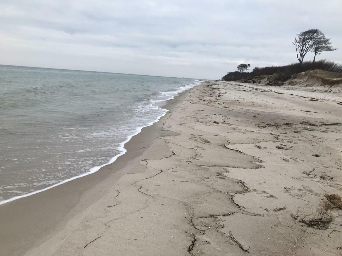Zum Nordstrand Prerow Exterior foto